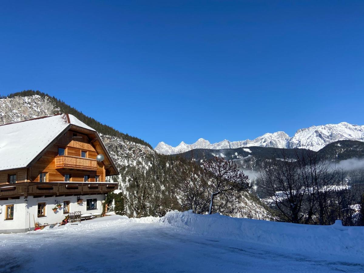 Reiterhof Familie Laubichler Bed and Breakfast Schladming Εξωτερικό φωτογραφία